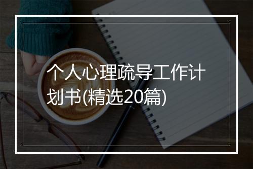 个人心理疏导工作计划书(精选20篇)