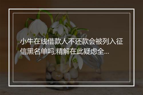 小牛在线借款人不还款会被列入征信黑名单吗,精解在此疑虑全消!