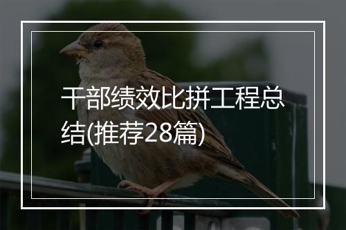 干部绩效比拼工程总结(推荐28篇)