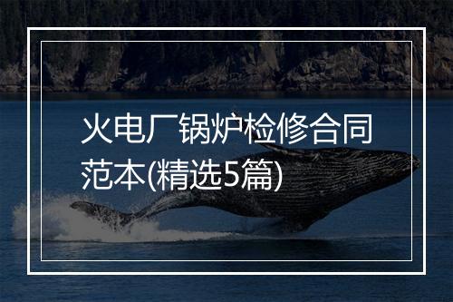 火电厂锅炉检修合同范本(精选5篇)