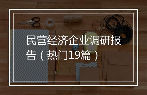 民营经济企业调研报告(热门19篇)