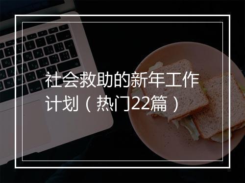 社会救助的新年工作计划(热门22篇)