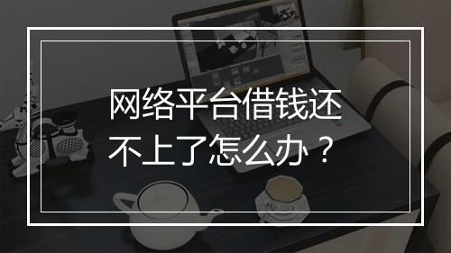 网络平台借钱还不上了怎么办?