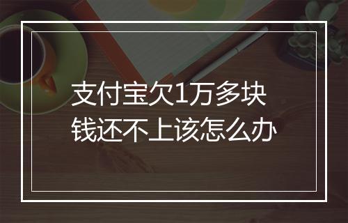 支付宝欠1万多块钱还不上该怎么办