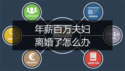 年薪百万夫妇离婚了怎么办