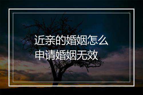 近亲的婚姻怎么申请婚姻无效
