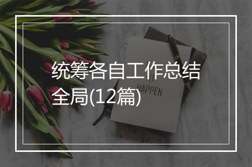 统筹各自工作总结全局(12篇)
