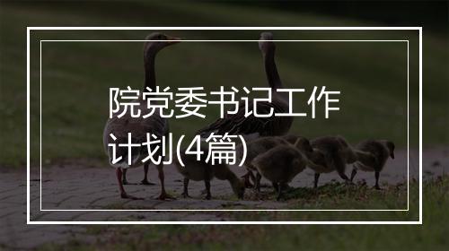 院党委书记工作计划(4篇)