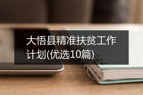 大悟县精准扶贫工作计划(优选10篇)