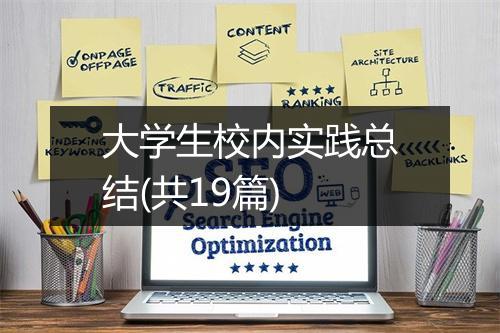 大学生校内实践总结(共19篇)