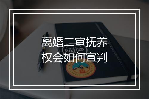 离婚二审抚养权会如何宣判