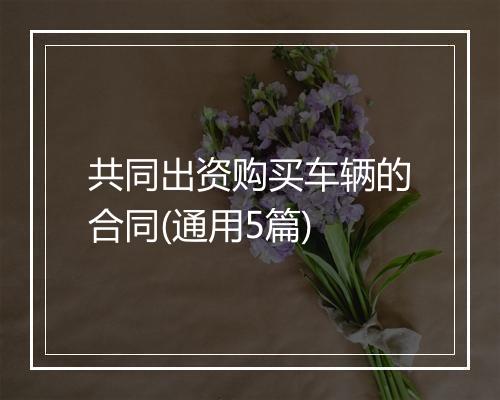 共同出资购买车辆的合同(通用5篇)