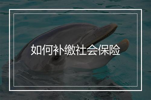 如何补缴社会保险