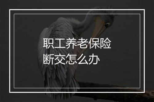 职工养老保险断交怎么办