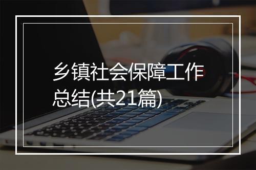 乡镇社会保障工作总结(共21篇)