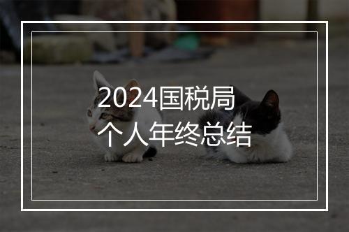 2024国税局个人年终总结