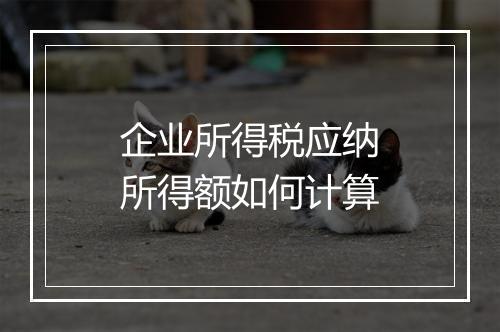 企业所得税应纳所得额如何计算
