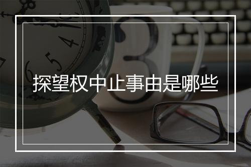 探望权中止事由是哪些