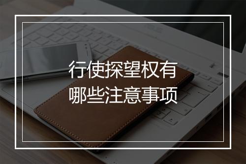 行使探望权有哪些注意事项
