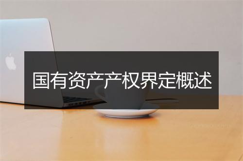 国有资产产权界定概述