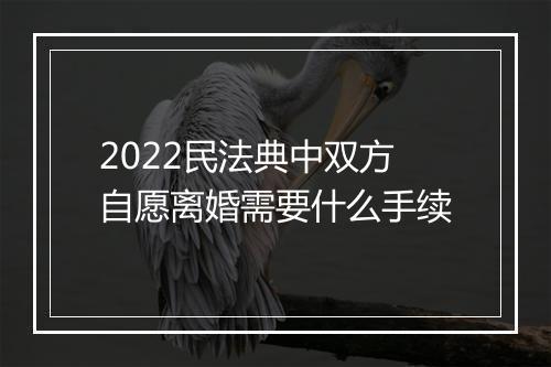 2022民法典中双方自愿离婚需要什么手续