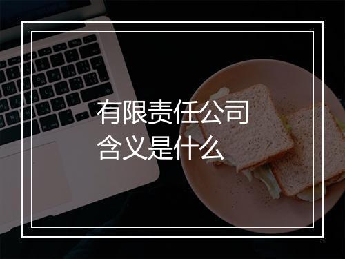有限责任公司含义是什么