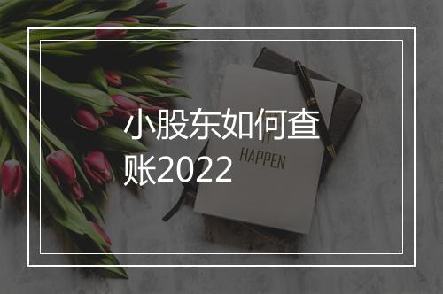 小股东如何查账2022