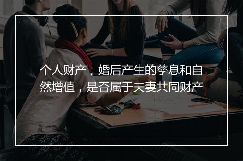 个人财产,婚后产生的孳息和自然增值,是否属于夫妻共同财产