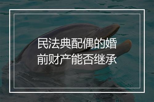 民法典配偶的婚前财产能否继承