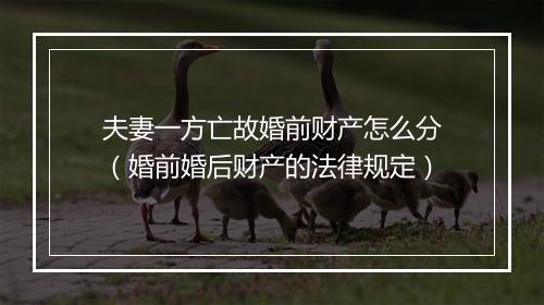 夫妻一方亡故婚前财产怎么分(婚前婚后财产的法律规定)