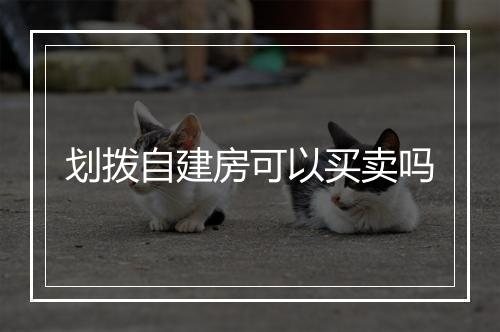 划拨自建房可以买卖吗