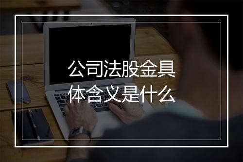 公司法股金具体含义是什么