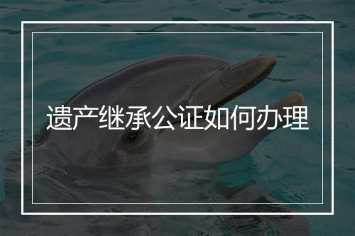 遗产继承公证如何办理