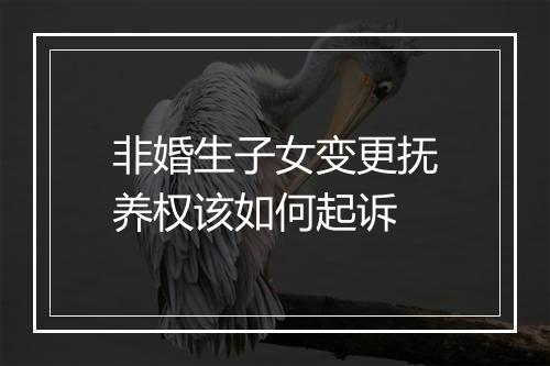 非婚生子女变更抚养权该如何起诉