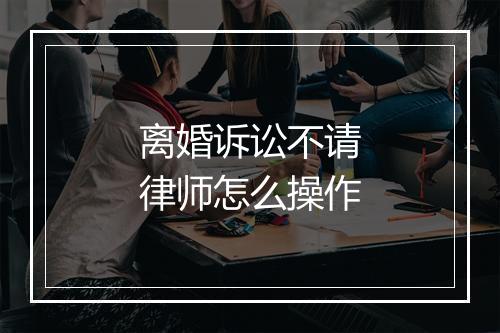 离婚诉讼不请律师怎么操作