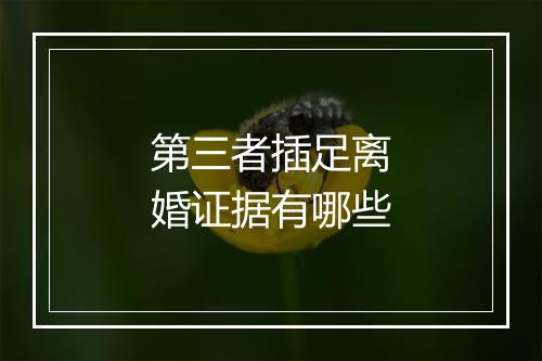 第三者插足离婚证据有哪些