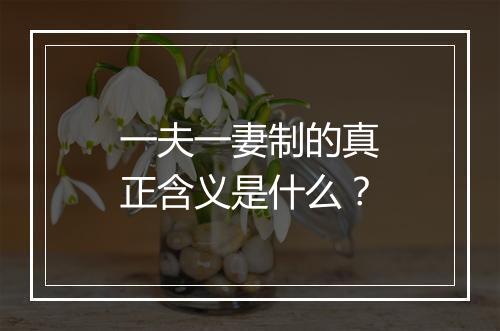 一夫一妻制的真正含义是什么?