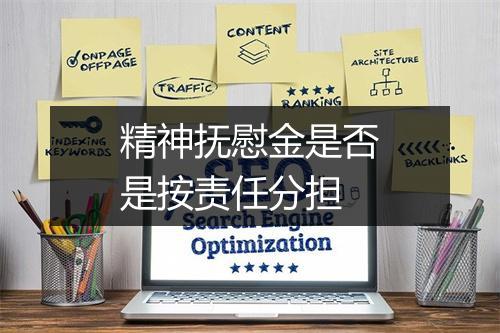 精神抚慰金是否是按责任分担