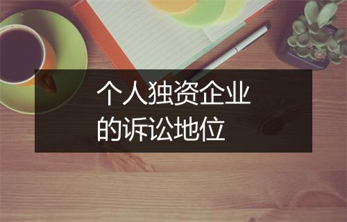 个人独资企业的诉讼地位