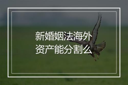 新婚姻法海外资产能分割么