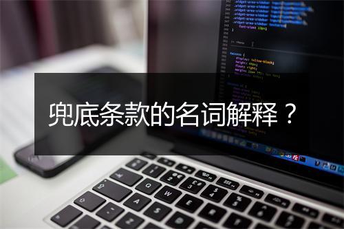 兜底条款的名词解释?
