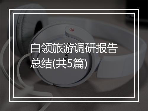 白领旅游调研报告总结(共5篇)