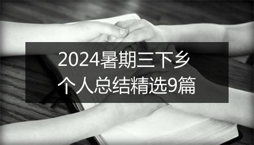 2024暑期三下乡个人总结精选9篇