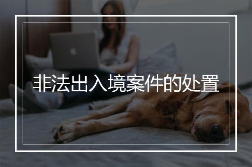 非法出入境案件的处置