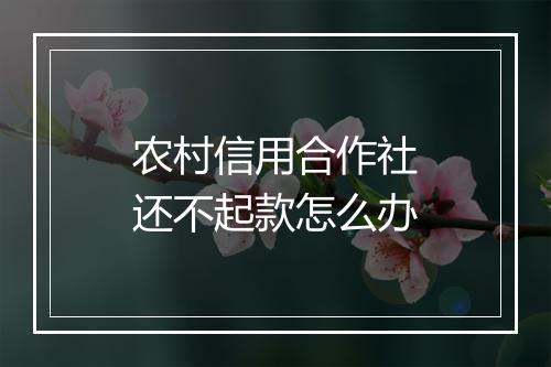 农村信用合作社还不起款怎么办