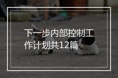 下一步内部控制工作计划共12篇