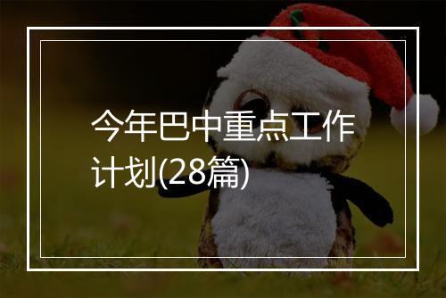 今年巴中重点工作计划(28篇)