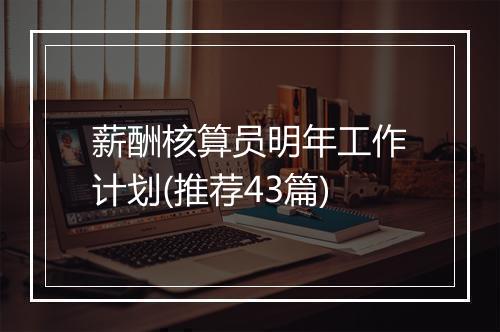 薪酬核算员明年工作计划(推荐43篇)