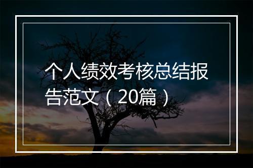 个人绩效考核总结报告范文(20篇)