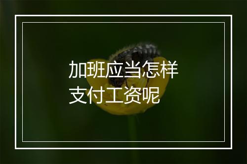 加班应当怎样支付工资呢